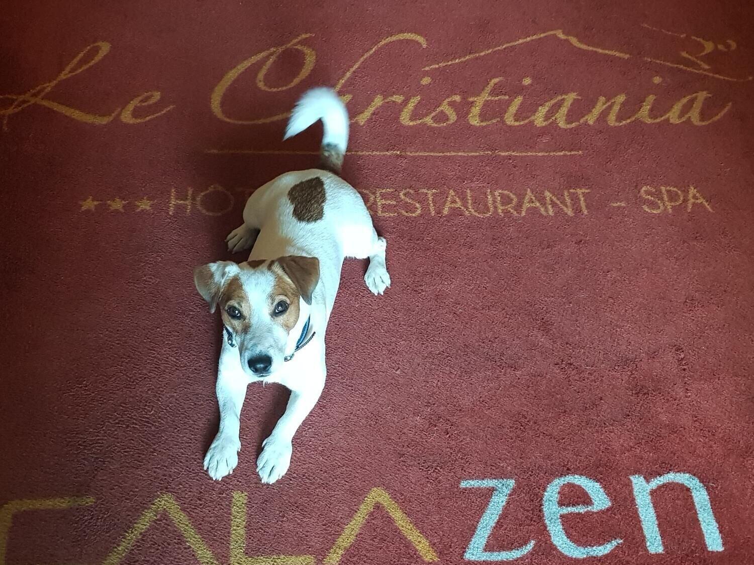 Le Christiania Hotel & Spa La Salle-les-Alpes Dış mekan fotoğraf